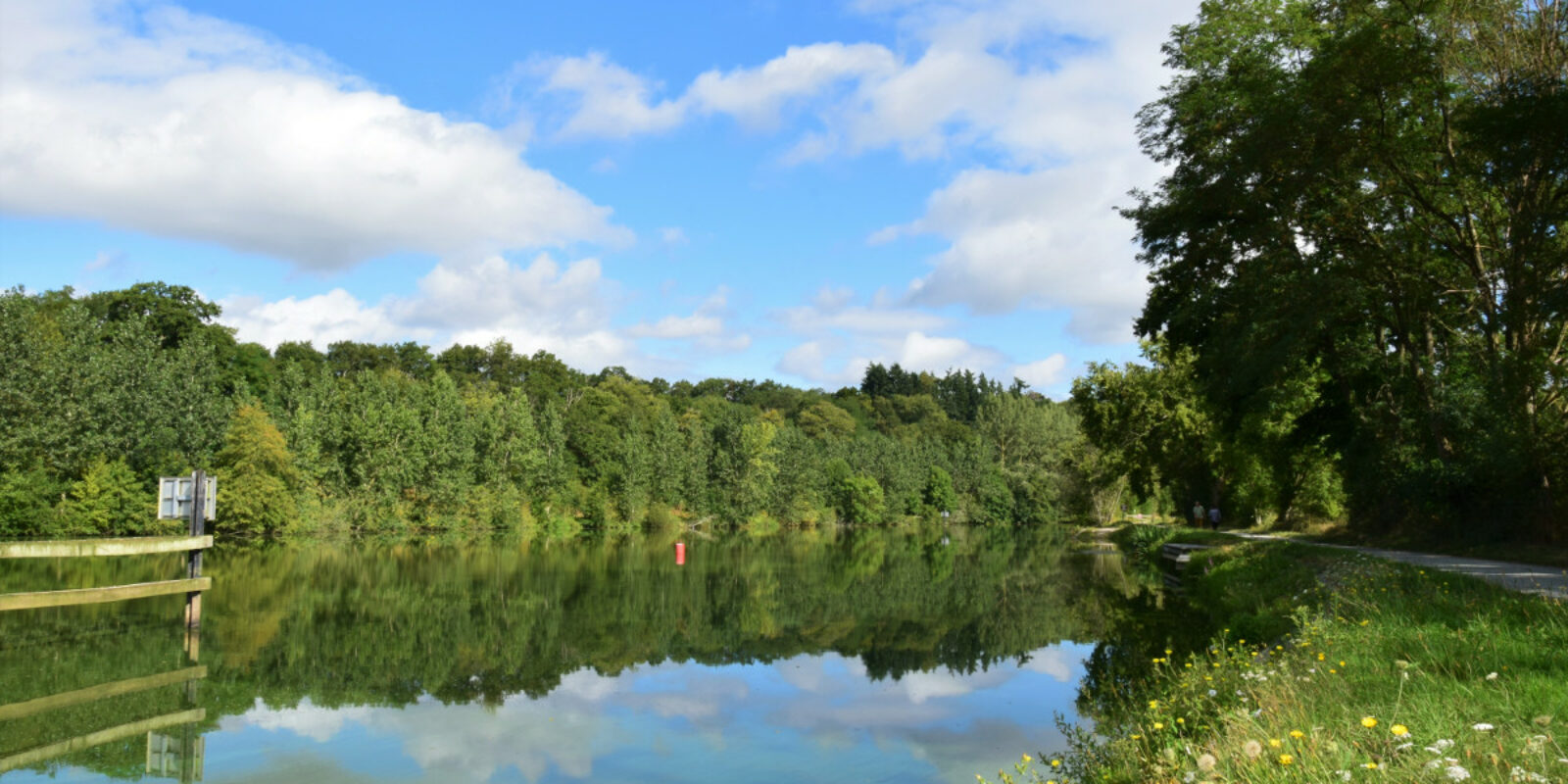 vue printemps