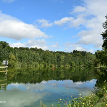 rivière au printemps