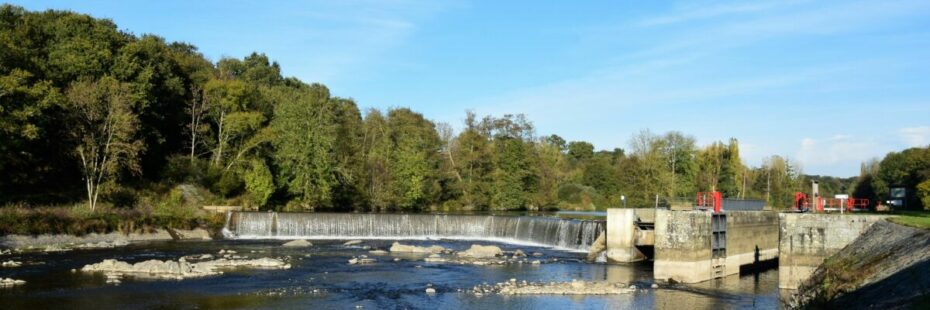 écourues mayenne